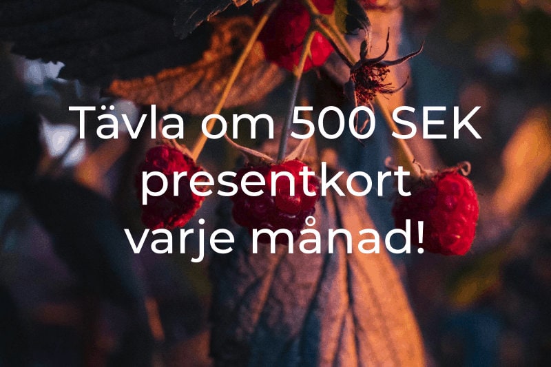 tävla om presentkort för ekologiska kläder