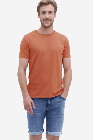 ekologisk t-shirt ilko brunorange modell