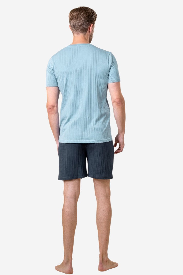 ekologisk pyjamas kort herr rex blå/marinblå modell bakifrån