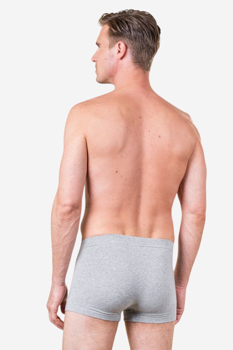 ekologiska kalsonger boxer sagon gråmelerad modell bakifrån