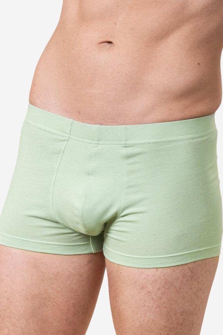ekologiska kalsonger boxer sagon ljusgrön modell