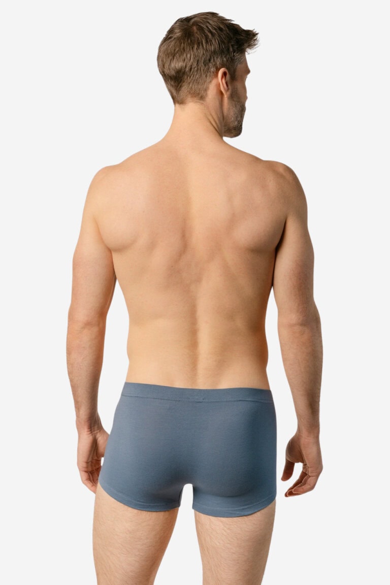 ekologiska-kalsonger-boxer-sagon-3-pack-bla-modell-bakifran